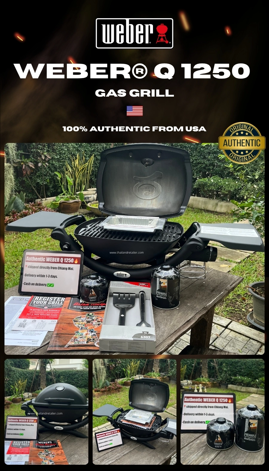 Weber Q 1250 Main