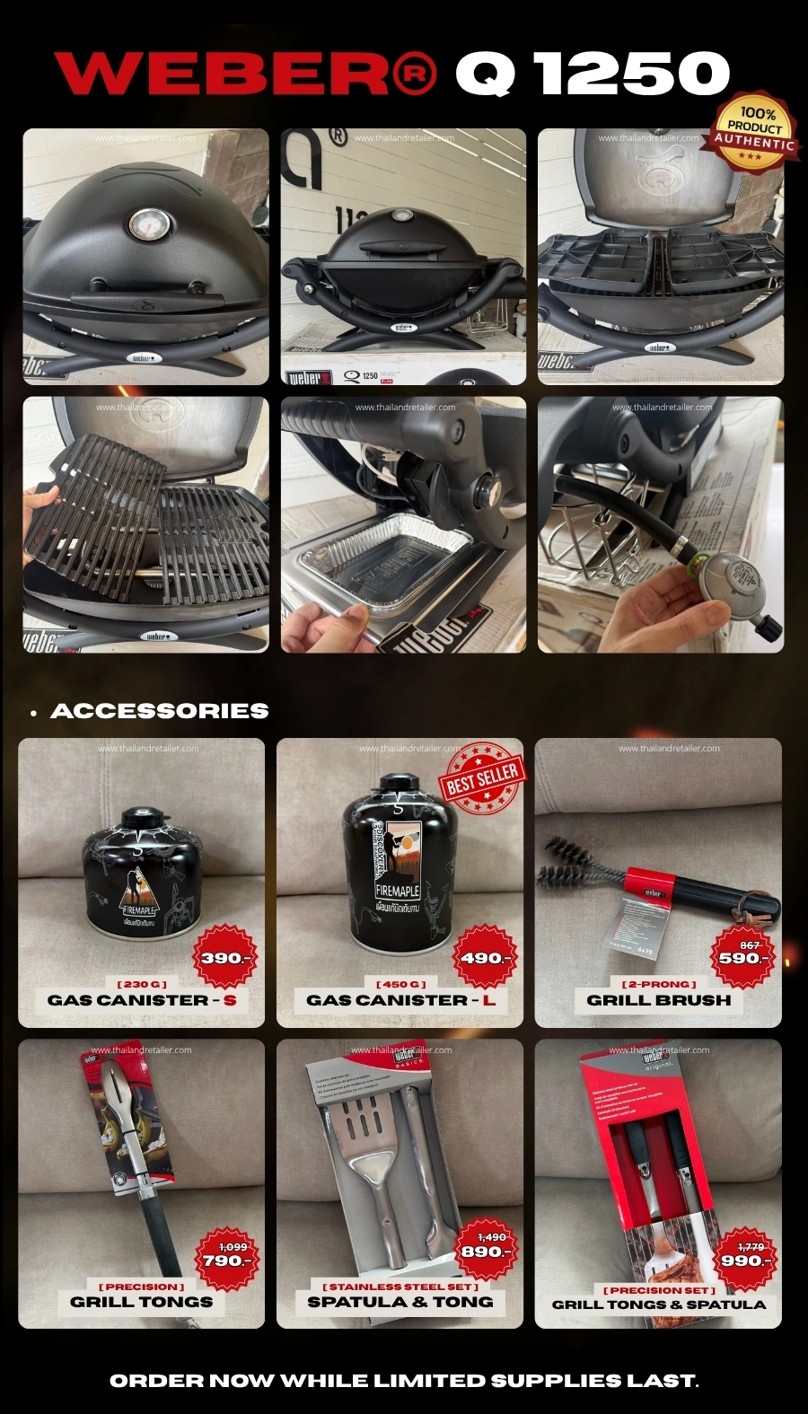 Weber Q 1250 Accessories & Details